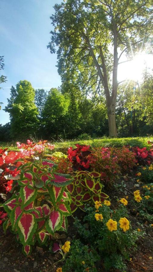 Moderne Ferienwohnungen Am Kurpark - Zentral, Ruhig & Nah Am Edersee Bad Wildungen Kültér fotó